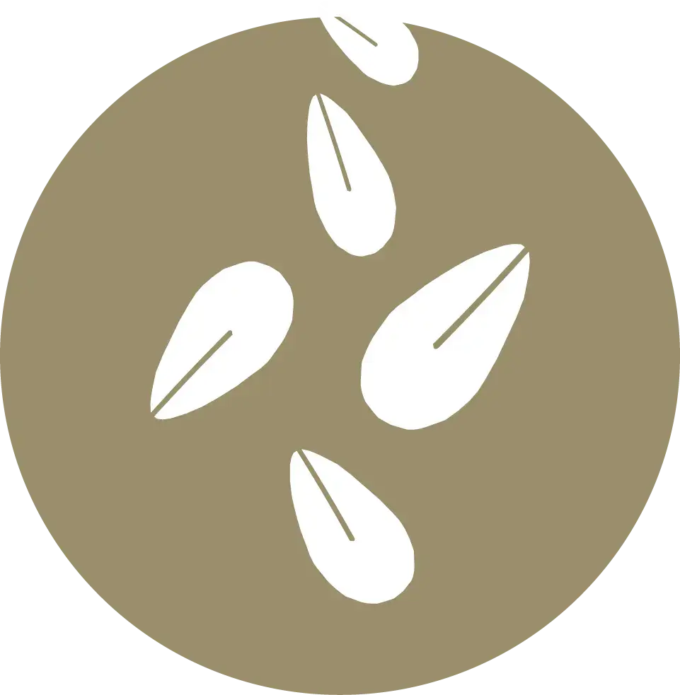 Sésamo